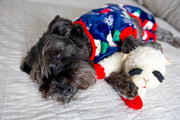 Cute Dog Pajamas in Blue for the Holidays