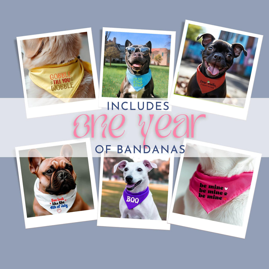 Holiday Dog Bandana Bundle | Festive Neckwear for Your Pet