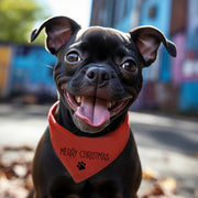 Holiday Dog Bandana Bundle | Halloween, Thanksgiving & Fall Neckwear