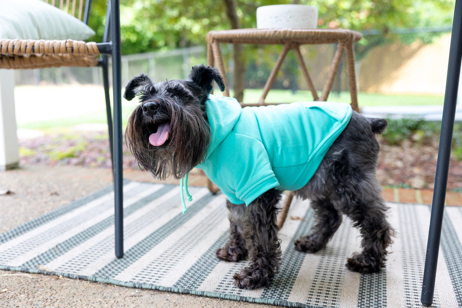 Humorous Dog Hoodie | 'Still Live With Parents' for All Dog Sizes