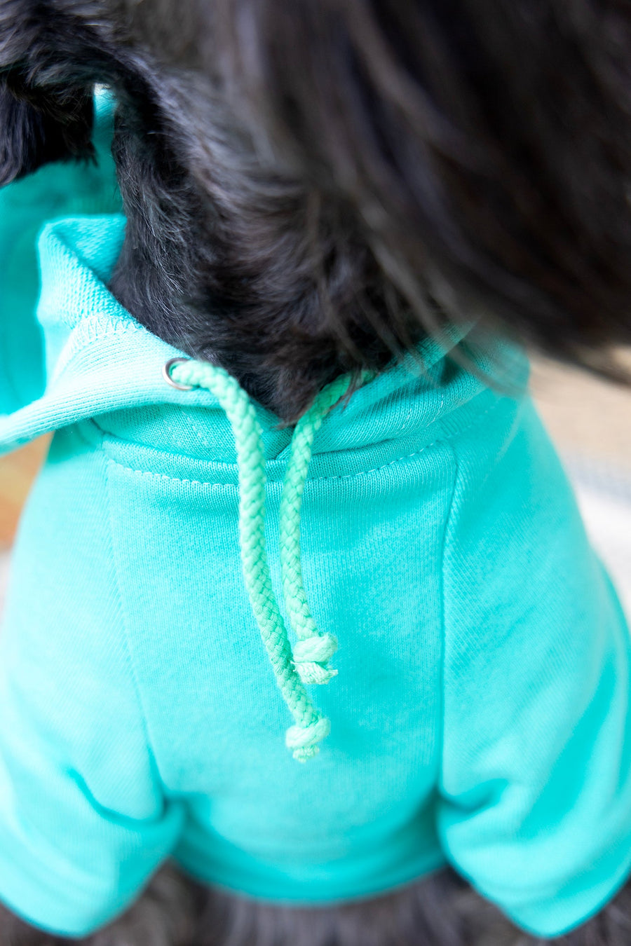 DOG SWEATSHIRT WITH CLOSE UP OF HOOD STRING