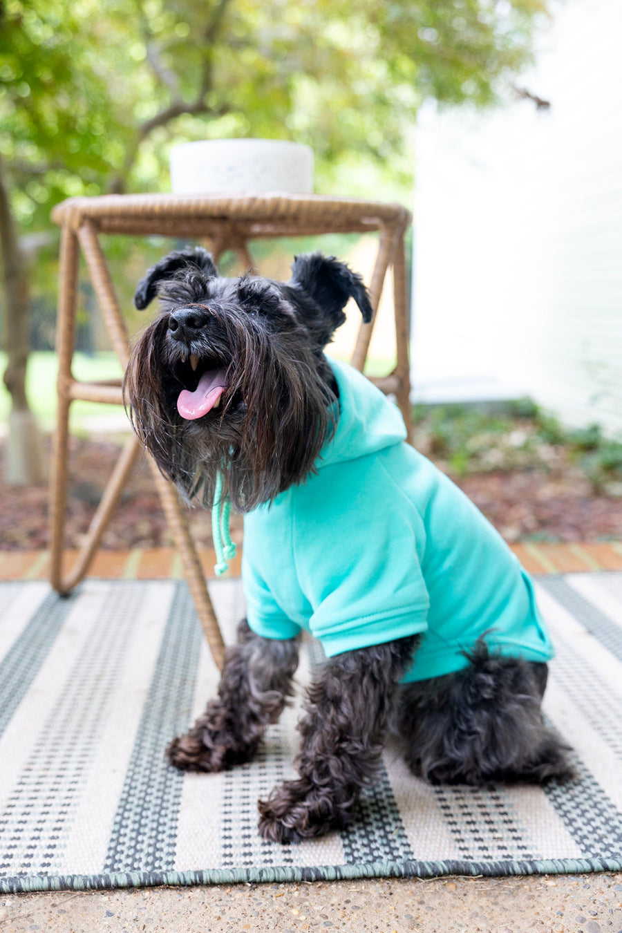 Pet sweatshirt side view in teal.