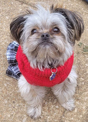 Christmas Dress for Dog - Red Sweater with Black Flannel Skirt