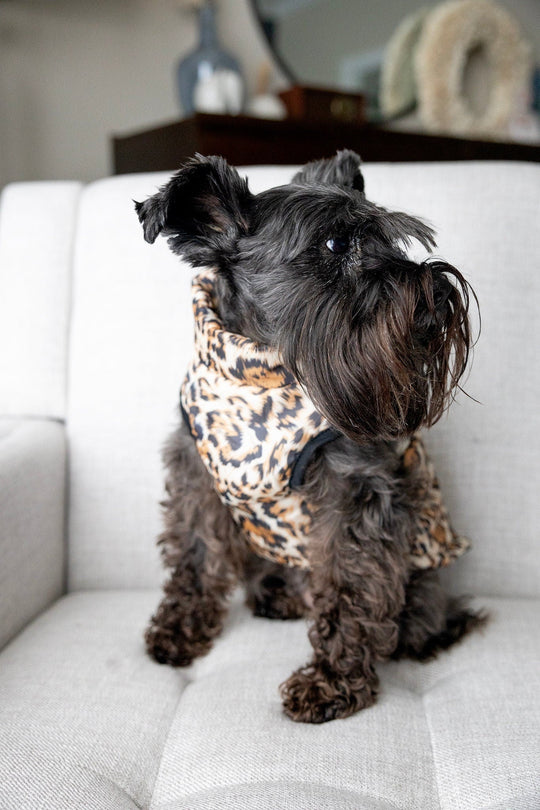 Leopard Print Dog Jacket with Name | Personalized Zipper Vest for Pet