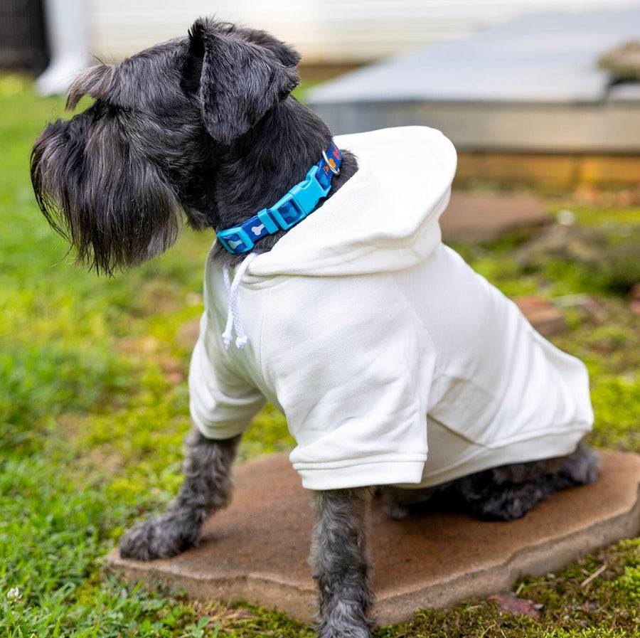 Lucky Dog St. Patrick's Day Hoodie | White Sweatshirt for Your Pet