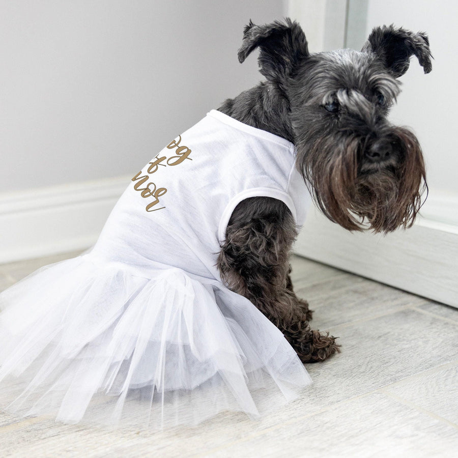 Party dress for pet
