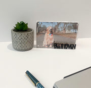 Personalized Dog Frame | Custom Pet Photo Frame for Office or Home Decor