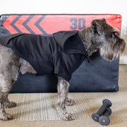 Personalized Dog Shirt For Pet Security with Neon Name