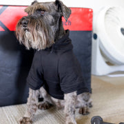 Personalized Dog Shirt For Pet Security with Neon Name