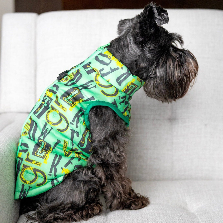 Personalized Green Dog Jacket | Boy Dog Vest with Leash Holder & Zipper