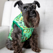 Personalized Green Dog Jacket | Boy Dog Vest with Leash Holder & Zipper