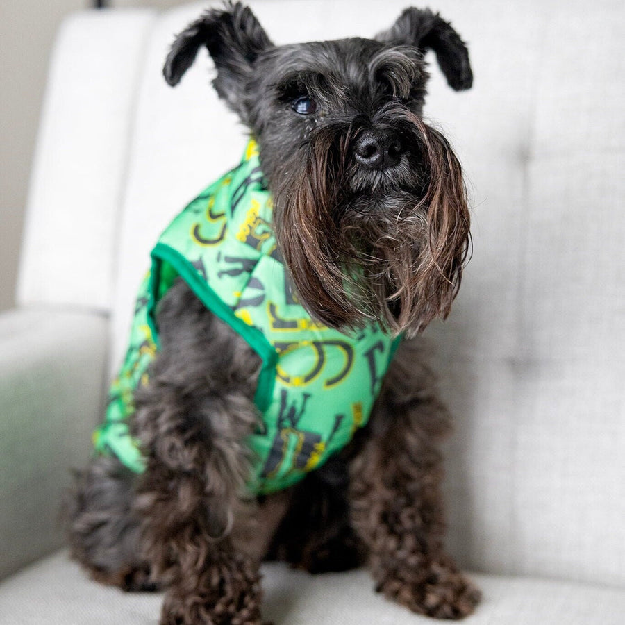 Personalized Green Dog Jacket | Boy Dog Vest with Leash Holder & Zipper