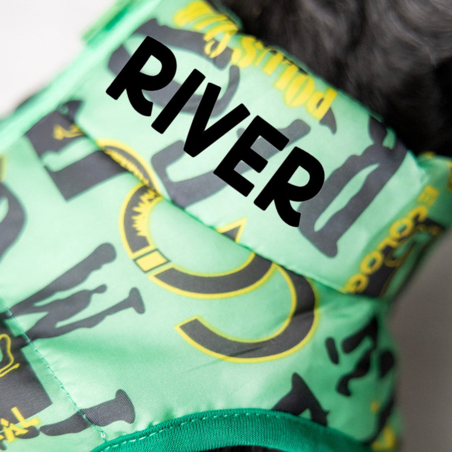 Personalized Green Dog Jacket | Boy Dog Vest with Leash Holder & Zipper