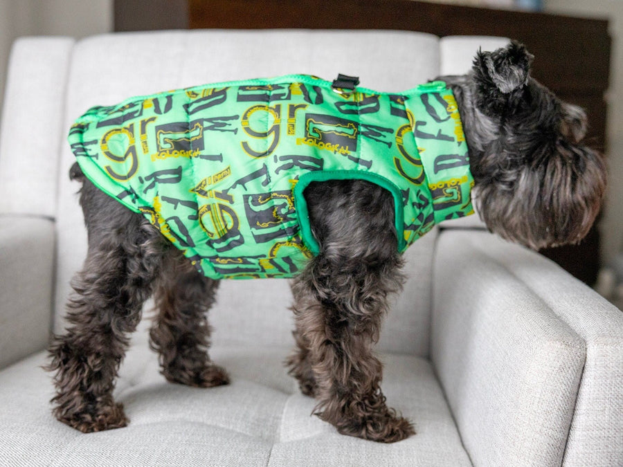 Personalized Green Dog Jacket | Boy Dog Vest with Leash Holder & Zipper