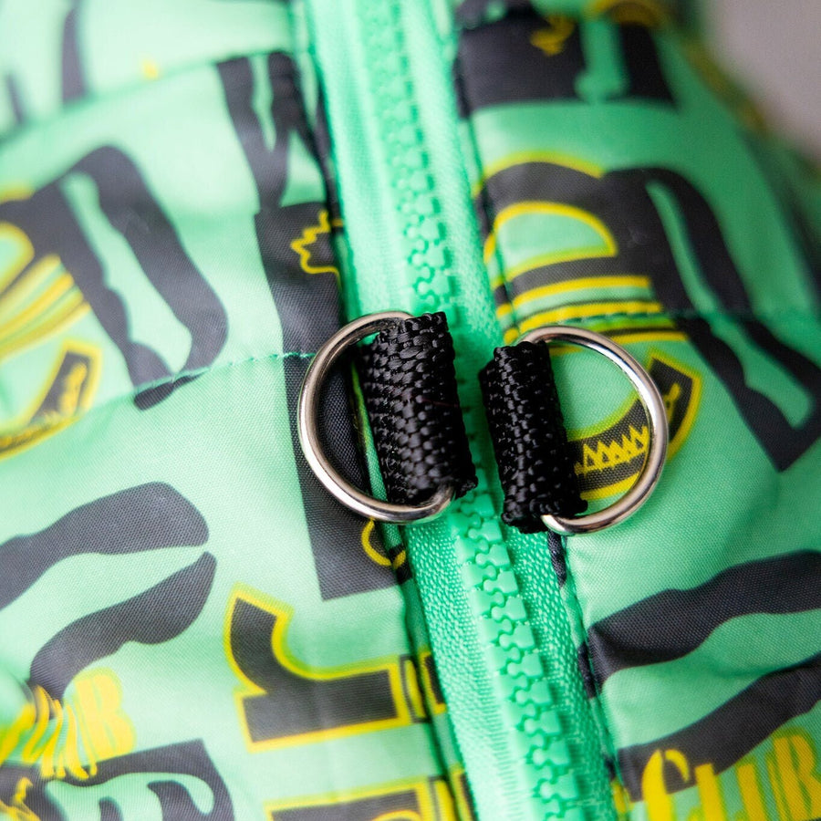Personalized Green Dog Jacket | Boy Dog Vest with Leash Holder & Zipper