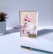 Personalized Pet Photo Frame - Custom Acrylic Dog Mom Gift with Name Keepsake