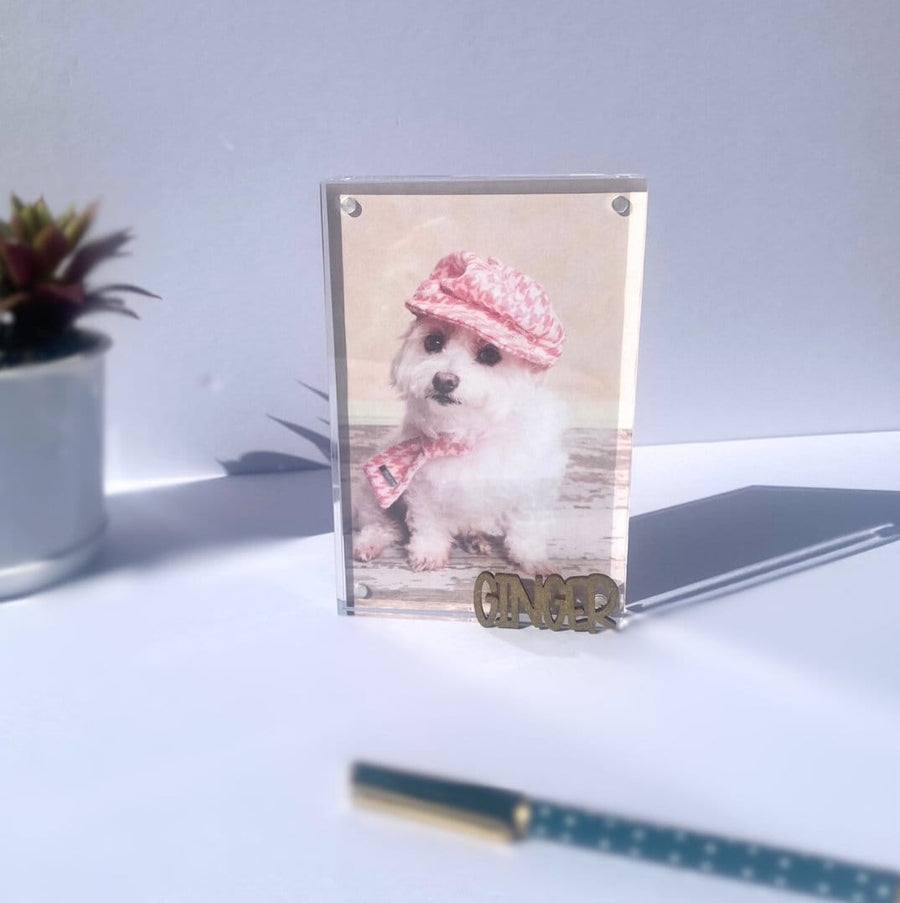 Personalized Pet Photo Frame - Custom Acrylic Dog Mom Gift with Name Keepsake