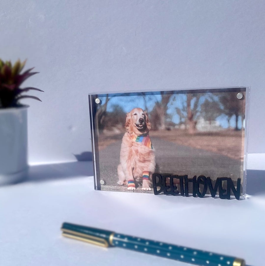 Personalized Pet Photo Frame - Custom Acrylic Dog Mom Gift with Name Keepsake