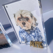 Personalized Pet Photo Frame - Custom Acrylic Dog Mom Gift with Name Keepsake