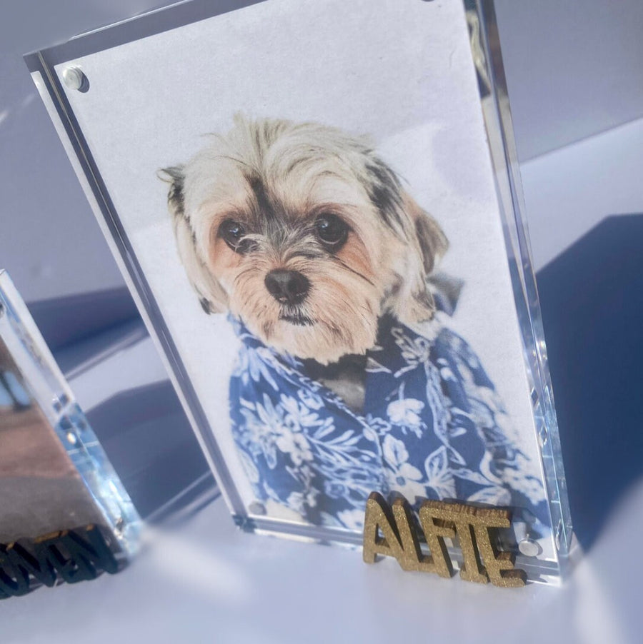 Personalized Pet Photo Frame - Custom Acrylic Dog Mom Gift with Name Keepsake