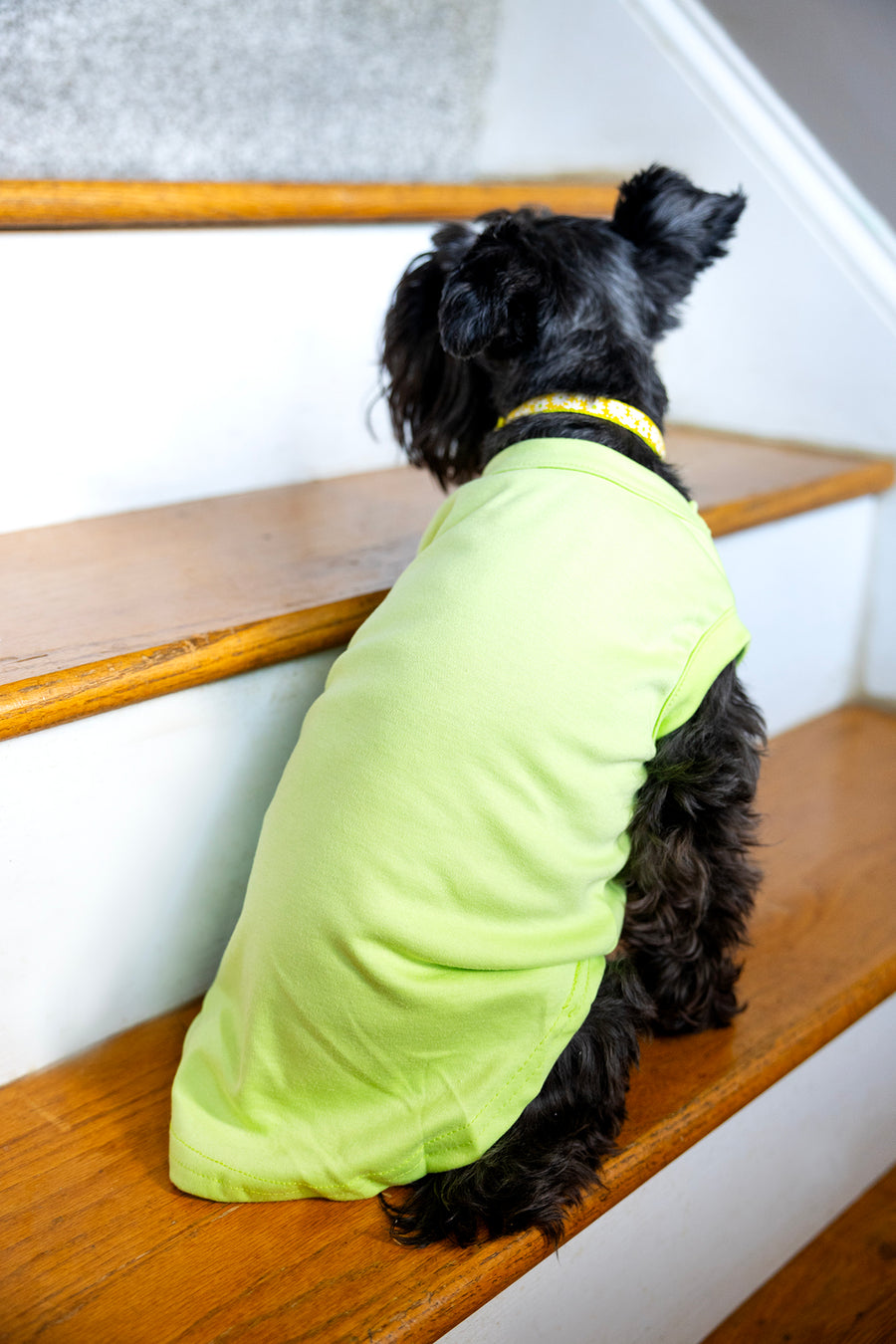 Dog T Shirt in Green with Cute Design
