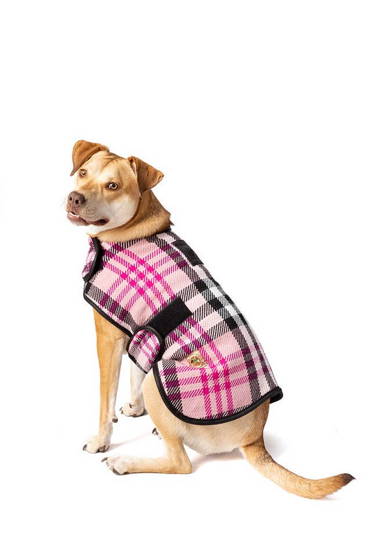 Plaid Dog Pajamas for Winter – Dainty and Dapper Pet Boutique