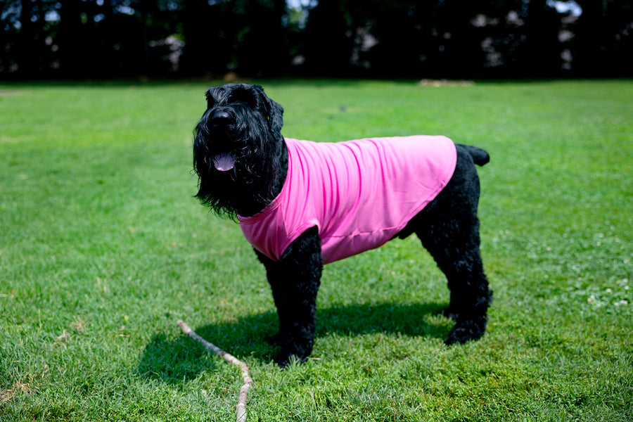 Slightly Dramatic Dog T Shirt in Pink to Help Shedding
