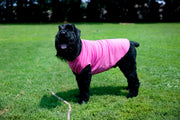 Pink Shirt for Medium Dog