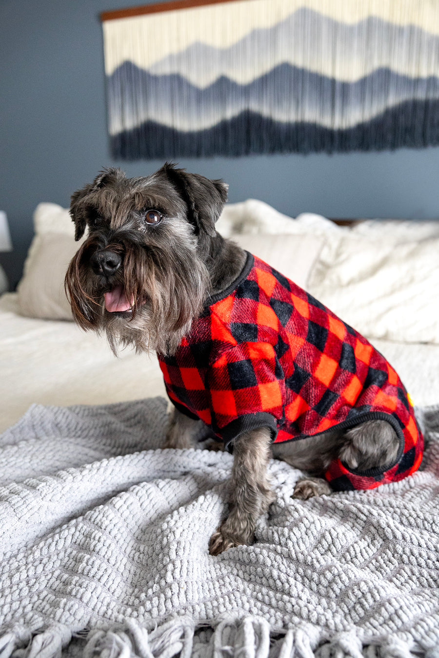 Christmas Dogs Print Flannel PJs for Pet & Owner