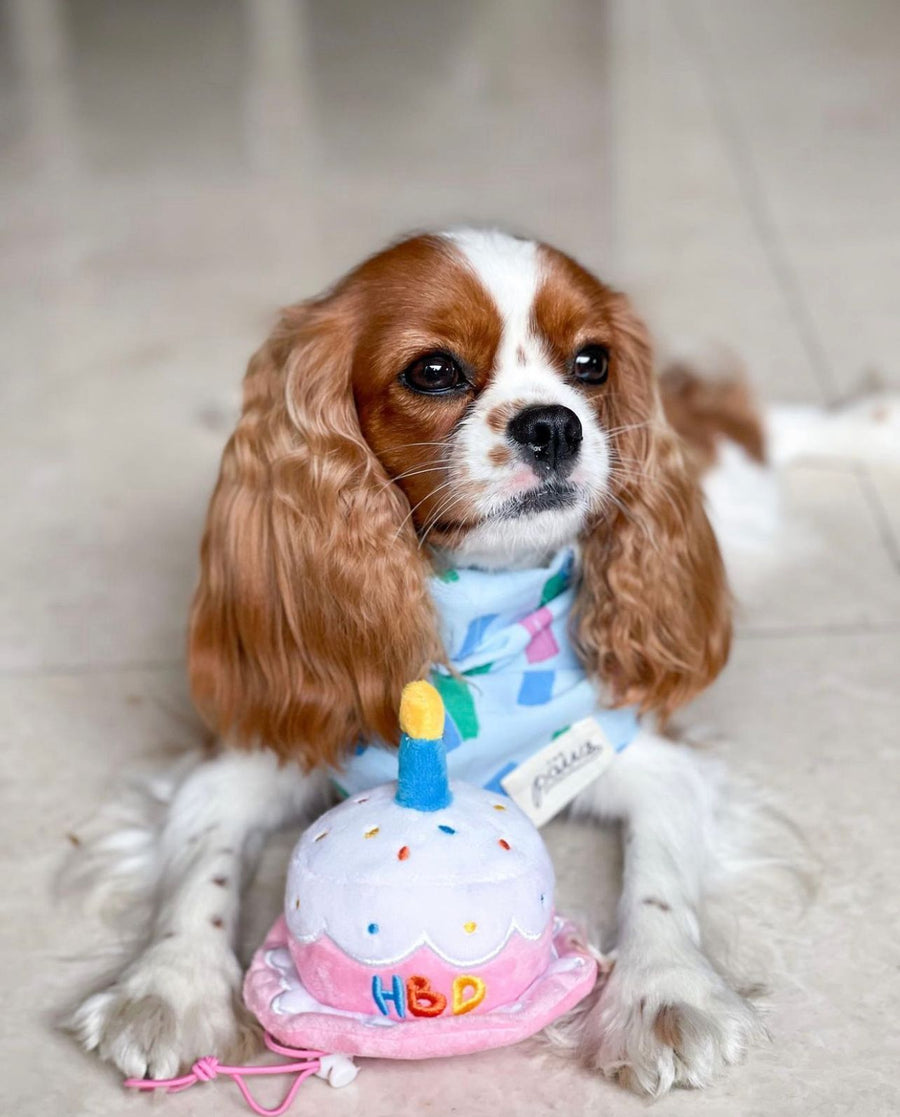 Birthday Dog Bandana for Girl