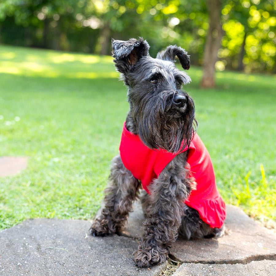 Red Glitter Dog Dress - Funny Holiday Pet Outfit for Christmas & Cats Too!