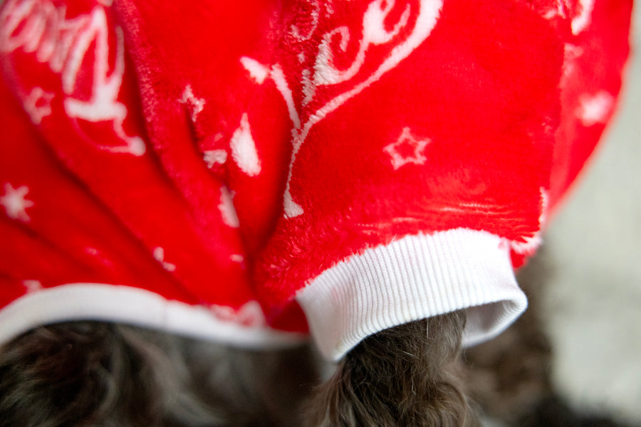 Red pajamas for dogs, close up of arm bands and white hem.