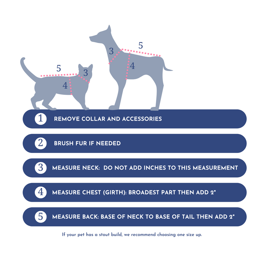  Step by step guide on how to measure your pet for best fit in dog clothes.