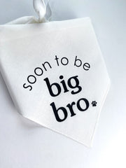 
Sibling Cat Bandana for New Pup - Reveal Idea for Dog Mom Gift
