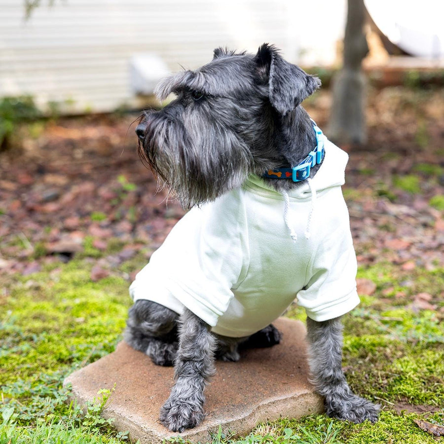 Sibling Pet Hoodie - Little Sister Neutral Color for Party Reveal
