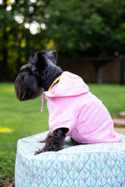 Funny Valentine Hoodie for Girl Dog - Valentine Vibes