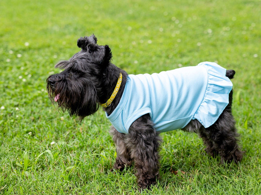Dog Birthday Dress for Girl Dog | Light Blue Party Shirt Outfit