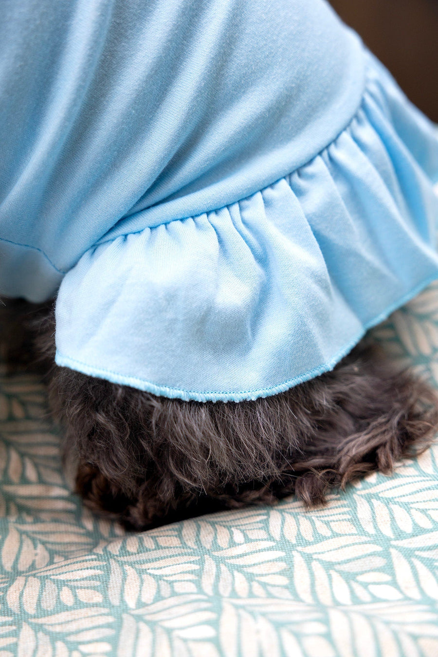 Dog Birthday Dress for Girl Dog | Light Blue Party Shirt Outfit