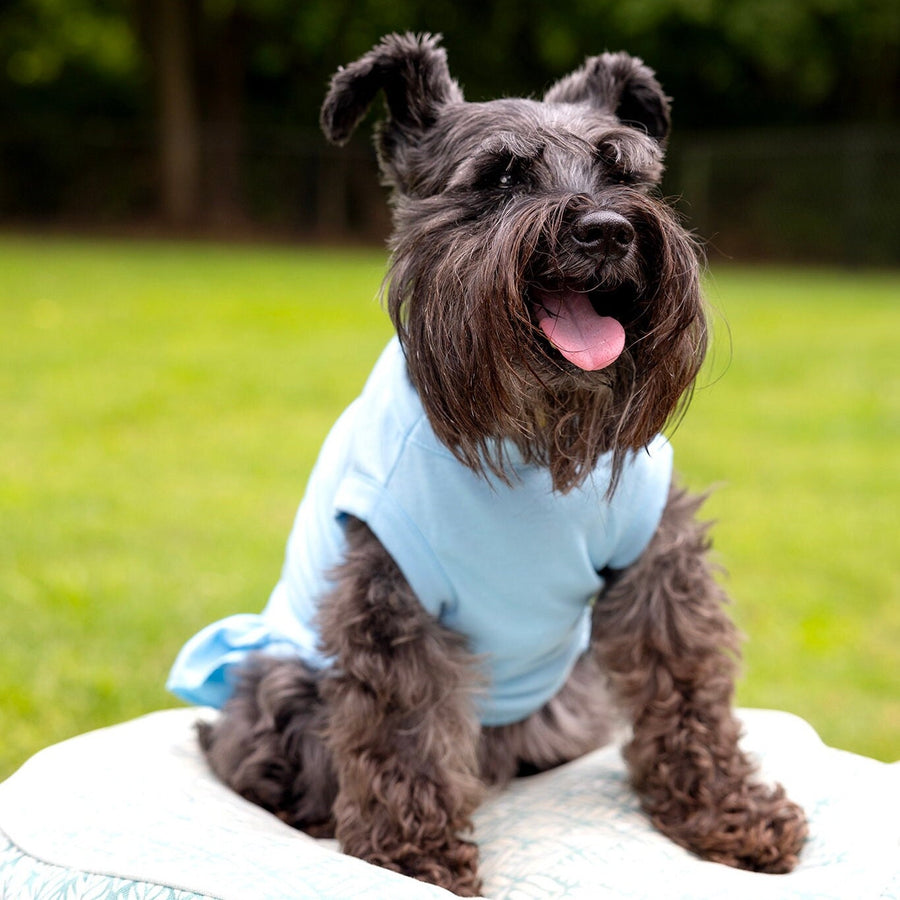 Dog Birthday Dress for Girl Dog | Light Blue Party Shirt Outfit