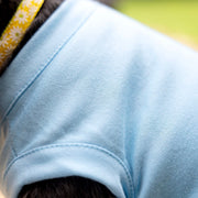 Dog Birthday Dress for Girl Dog | Light Blue Party Shirt Outfit