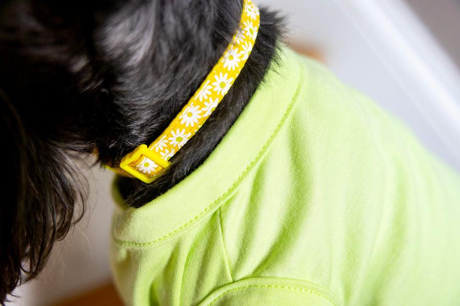 Summer Dog Shirt for Girl | Floral Design Outfit for Pet