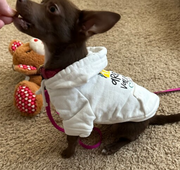 Funny Valentine Dog Hoodie with Taco Design