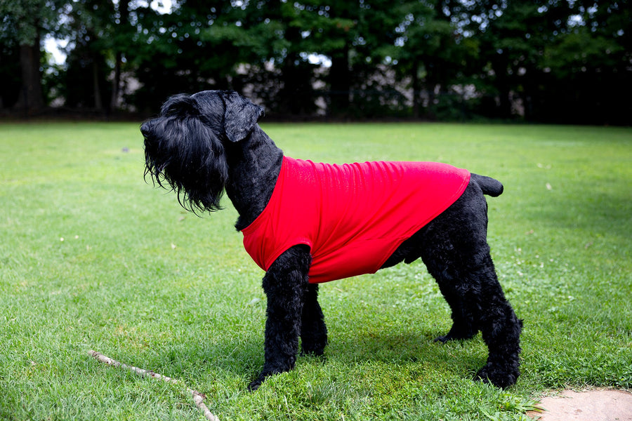 Red pet shirt for large dogs