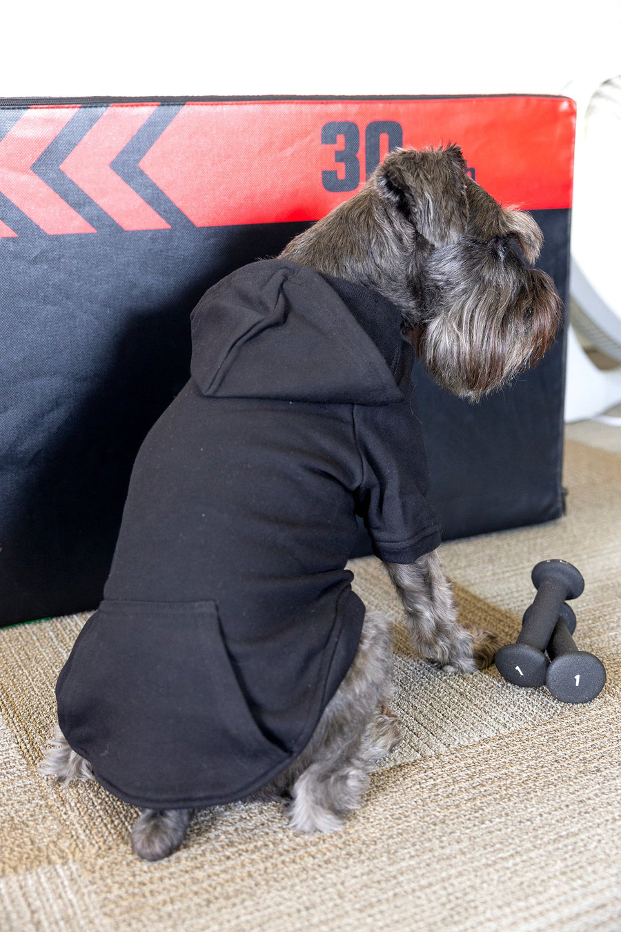 Custom dog hoodie with comfort fit, for dogs with anxiety, calming effect with luxury dog clothes and textures.