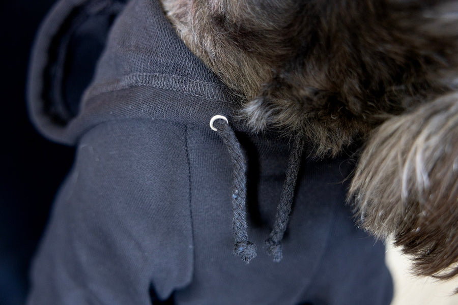 Valentine Dog Hoodie in Black - Funny Design for Pet Love Celebration