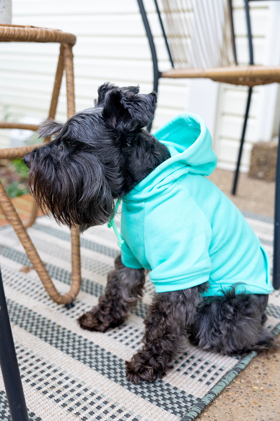 Custom dog hoodie, sitting position