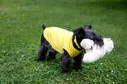 dog playing in dog apparel, light colors, cute dog shirt, front and side view showing fit of dog t shirt