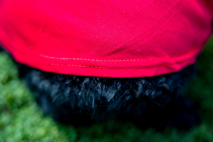 dog clothing, showing red shirt hem close up