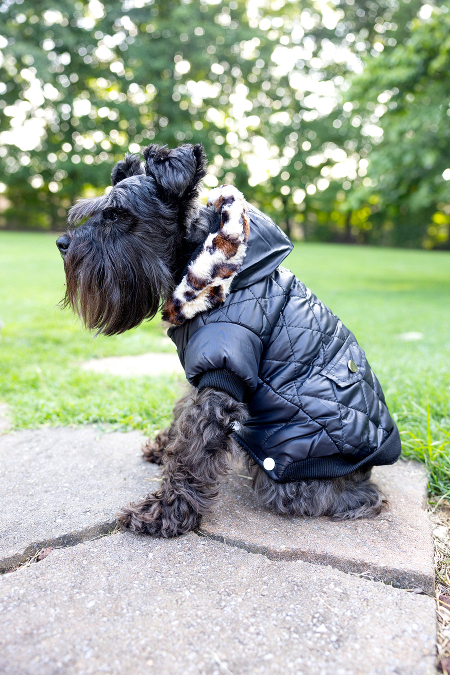 Dog coat with fur trimmed hood, sitting position, side view 
