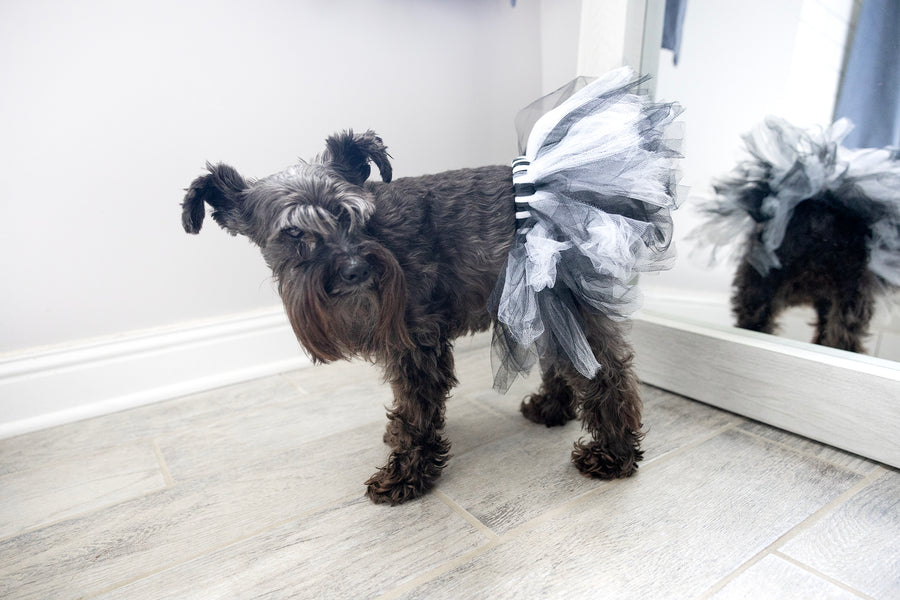 Dog dress for pet in black white, showing side view